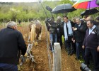 foto de la noticia